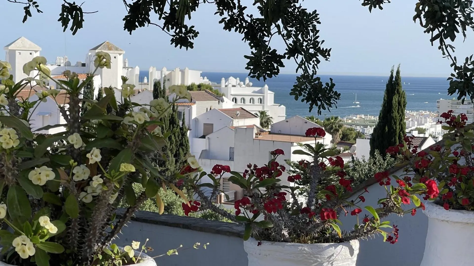Guest house Terra Aloe Hotel Torremolinos